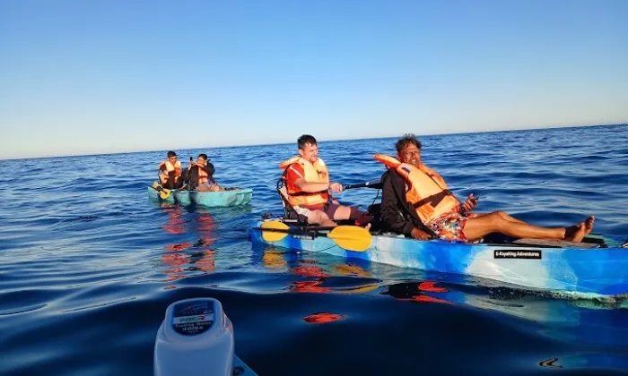 2-Hour E-Kayaking Cape Town Tour for 2 in Sea Point