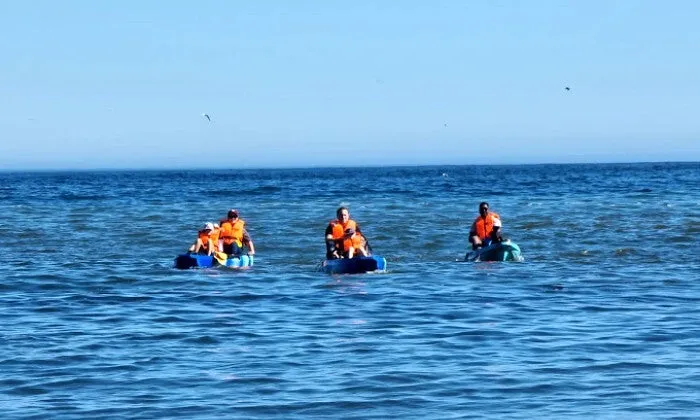 2-Hour E-Kayaking Cape Town Tour for 2 in Sea Point