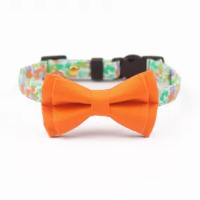 Color Print Striking Cat Collar Bowtie