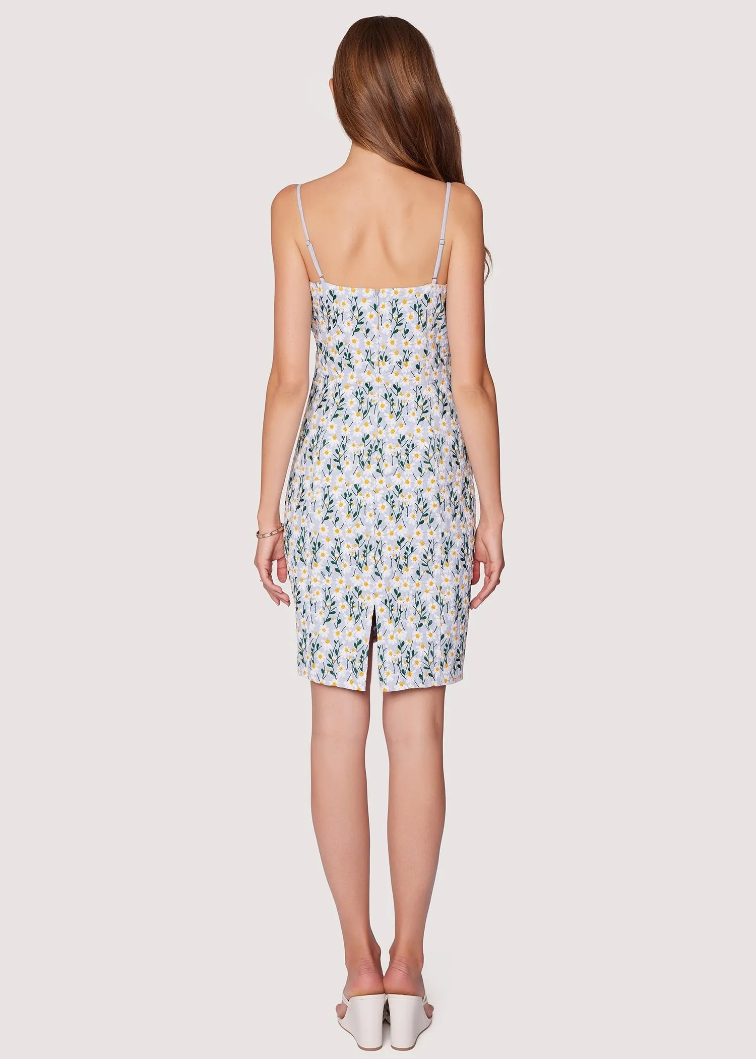 Coming Up Daisies Dress