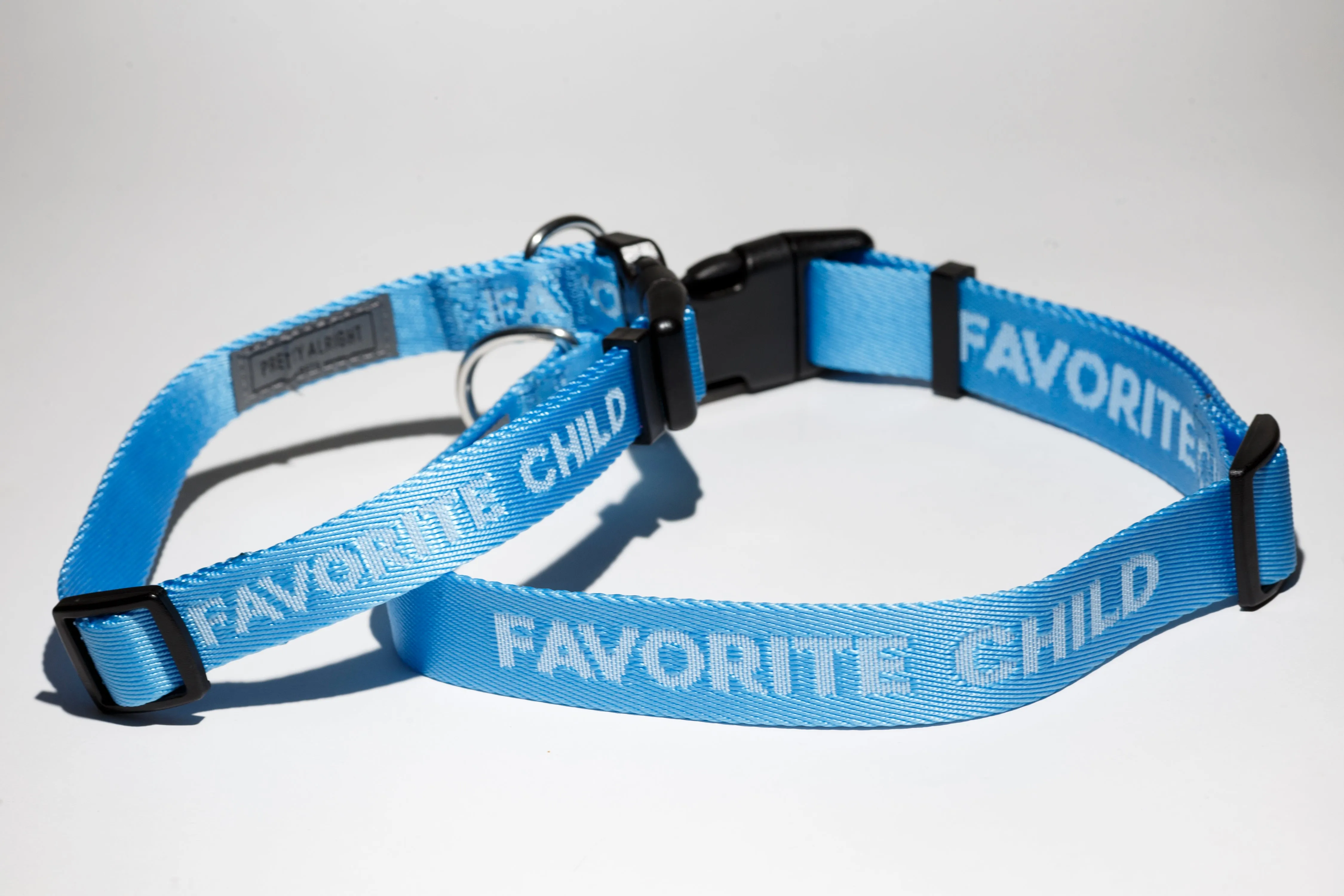 Favorite Child (Sky Blue) Dog Collar