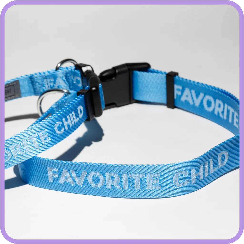 Favorite Child (Sky Blue) Dog Collar