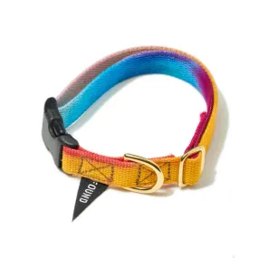 Found My Animal Prismatic Webbing Cat & Dog Collar