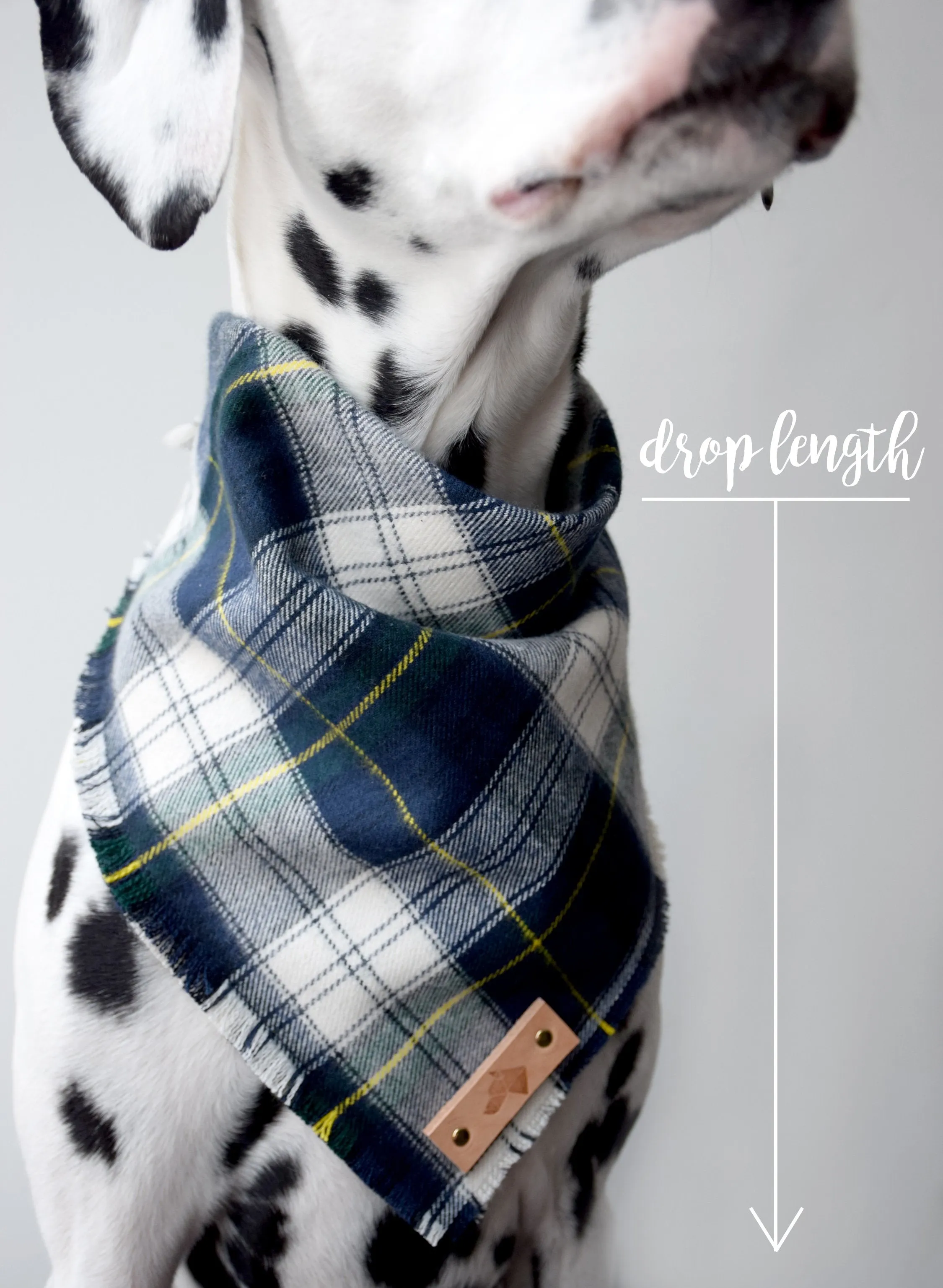 LAGOON Fringed Flannel Dog Bandana - Snap/Tie On Cotton Scarf