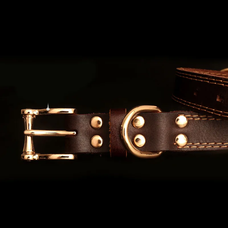 Leather Dog Collars