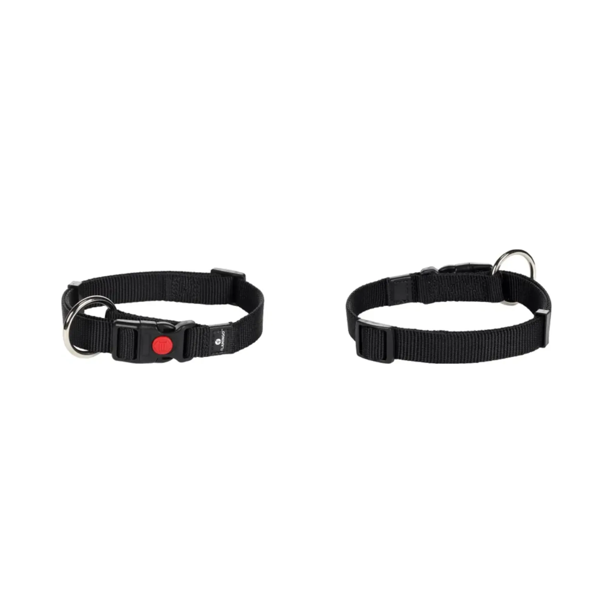 ZIGGI DOG COLLAR SMALL